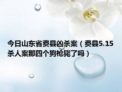 今日山东省费县凶杀案费县515杀人案那四个狗枪毙了吗