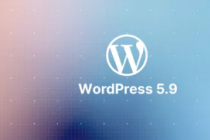 您现在可以在正式发布之前测试WordPress5.9