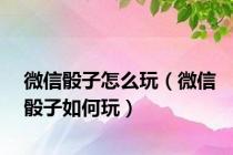 微信骰子怎么玩（微信骰子如何玩）