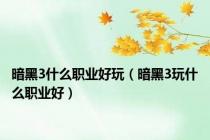 暗黑3什么职业好玩（暗黑3玩什么职业好）