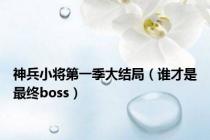 神兵小将第一季大结局（谁才是最终boss）