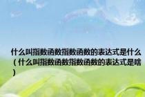 什么叫指数函数指数函数的表达式是什么（什么叫指数函数指数函数的表达式是啥）