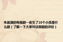 朱茵演的电视剧一夜生了10个小孩是什么剧（了解一下大家对这部剧的评价）