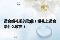 适合婚礼唱的歌曲（婚礼上适合唱什么歌曲）