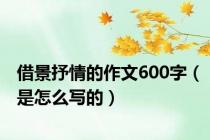 借景抒情的作文600字（是怎么写的）