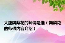 大唐樊梨花的师傅是谁（樊梨花的师傅内容介绍）