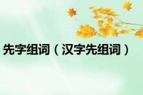 先字组词（汉字先组词）