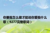 你要我怎么做才能说你爱我什么歌（9277完整歌词）