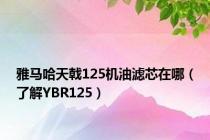 雅马哈天戟125机油滤芯在哪（了解YBR125）