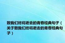 致我们终将逝去的青春经典句子（关于致我们终将逝去的青春经典句子）