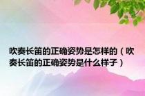 吹奏长笛的正确姿势是怎样的（吹奏长笛的正确姿势是什么样子）