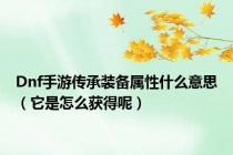 Dnf手游传承装备属性什么意思（它是怎么获得呢）