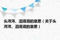 头涔涔、泪潸潸的意思（关于头涔涔、泪潸潸的意思）