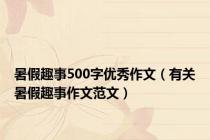 暑假趣事500字优秀作文（有关暑假趣事作文范文）