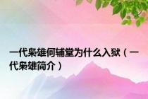 一代枭雄何辅堂为什么入狱（一代枭雄简介）