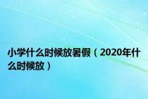 小学什么时候放暑假（2020年什么时候放）