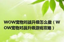 WOW宠物对战升级怎么做（WOW宠物对战升级游戏攻略）