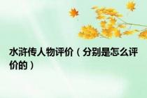 水浒传人物评价（分别是怎么评价的）