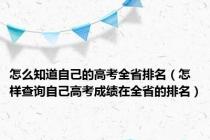 怎么知道自己的高考全省排名（怎样查询自己高考成绩在全省的排名）