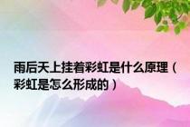 雨后天上挂着彩虹是什么原理（彩虹是怎么形成的）