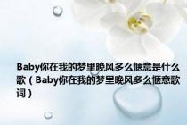 Baby你在我的梦里晚风多么惬意是什么歌（Baby你在我的梦里晚风多么惬意歌词）