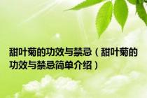 甜叶菊的功效与禁忌（甜叶菊的功效与禁忌简单介绍）