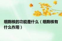 细胞核的功能是什么（细胞核有什么作用）