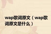 wap歌词原文（wap歌词原文是什么）