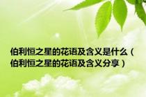 伯利恒之星的花语及含义是什么（伯利恒之星的花语及含义分享）