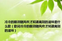 冷冷的眼泪随风吹才知道离别的滋味是什么歌（歌词冷冷的眼泪随风吹才知道离别的滋味）