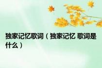 独家记忆歌词（独家记忆 歌词是什么）