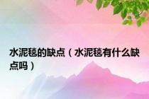 水泥毯的缺点（水泥毯有什么缺点吗）