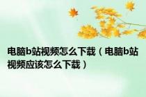 电脑b站视频怎么下载（电脑b站视频应该怎么下载）