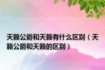 天籁公爵和天籁有什么区别（天籁公爵和天籁的区别）