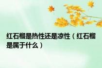 红石榴是热性还是凉性（红石榴是属于什么）