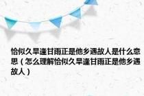 恰似久旱逢甘雨正是他乡遇故人是什么意思（怎么理解恰似久旱逢甘雨正是他乡遇故人）