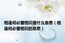 相逢何必曾相识是什么意思（相逢何必曾相识的意思）