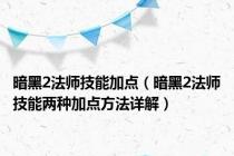 暗黑2法师技能加点（暗黑2法师技能两种加点方法详解）