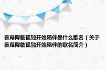 夜幕降临孤独开始陪伴是什么歌名（关于夜幕降临孤独开始陪伴的歌名简介）