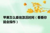 苹果怎么查询激活时间（看看你就会操作）