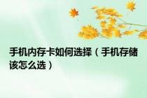 手机内存卡如何选择（手机存储该怎么选）