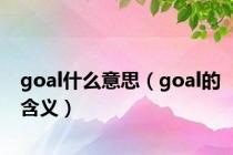 goal什么意思（goal的含义）