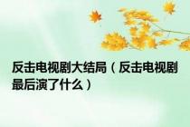 反击电视剧大结局（反击电视剧最后演了什么）