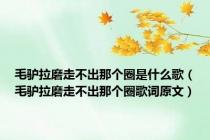 毛驴拉磨走不出那个圈是什么歌（毛驴拉磨走不出那个圈歌词原文）