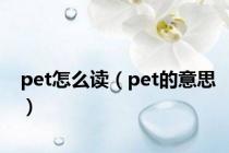 pet怎么读（pet的意思）