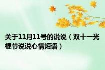 关于11月11号的说说（双十一光棍节说说心情短语）