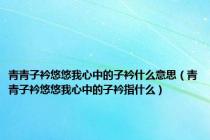 青青子衿悠悠我心中的子衿什么意思（青青子衿悠悠我心中的子衿指什么）