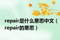 repair是什么意思中文（repair的意思）