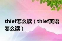 thief怎么读（thief英语怎么读）