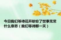 今日我们等待花开却忘了世事无常什么意思（我们等待那一天）